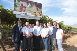 Ministro de Agricultura destaca avances del Programa de Mejoramiento Genético de Uva de Mesa del Consorcio Tecnológico de la Fruta de ASOEX