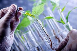 Agricultura sostenible mediante el uso de biotecnología