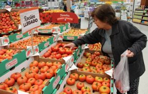 Tomate limachino antiguo se luce en 15 sucursales del jumbo de Antofagasta a Puerto Montt