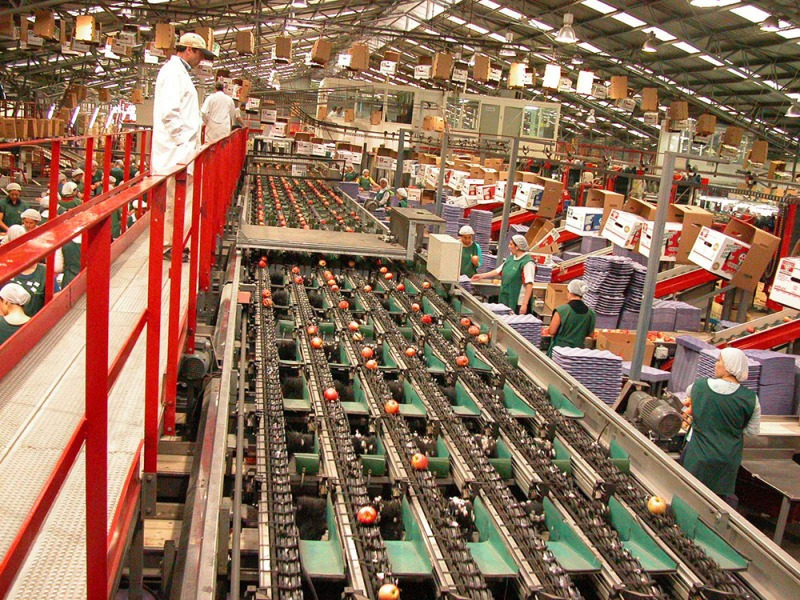Maule: Por quinto mes consecutivo exportaciones continúan a la baja