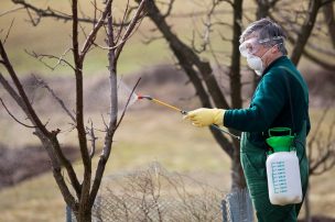 Chile: Nueva ley de etiquetado de fertilizantes permitirá entregar mayor información a los agricultores