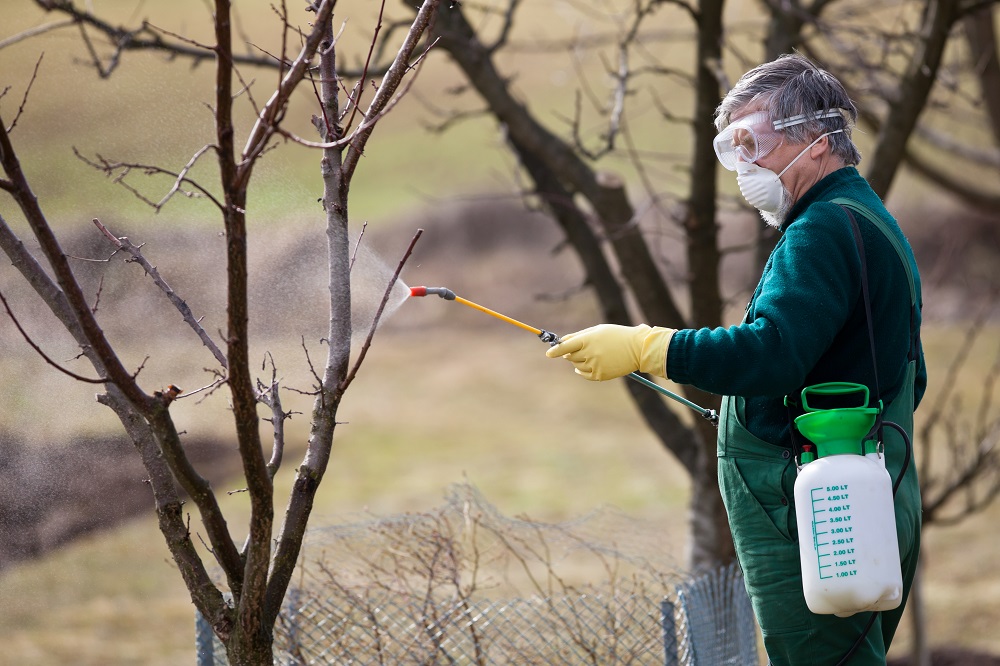 Chile: Nueva ley de etiquetado de fertilizantes permitirá entregar mayor información a los agricultores