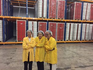 Periodistas chinos conocen la industria chilena de la fruta de exportación