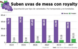 2018-2019: La temporada parte con interrogantes