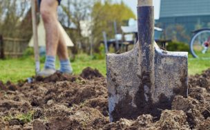 Cooperativismo: Una verdadera solución para el agro