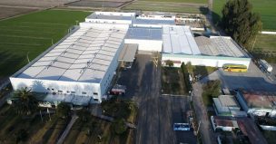 Bayer Crop Science modernizó planta en Viluco para abastecer mercado global de semillas de hortalizas