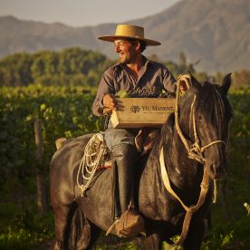 VIÑA VIU MANENT,  PURA IDENTIDAD NACIONAL PRESENTA SU FONDA PITUCA EN COLCHAGUA