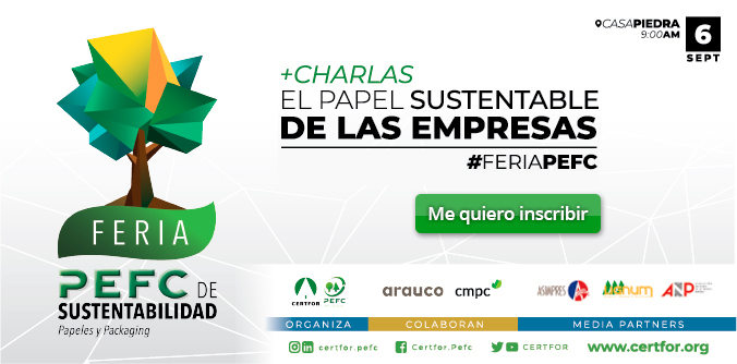 Bolsas de papel, la alternativa sustentable a la ley “chao bolsas plásticas”