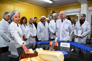 Con subproductos del poroto desarrollan ingredientes funcionales para la industria alimentaria