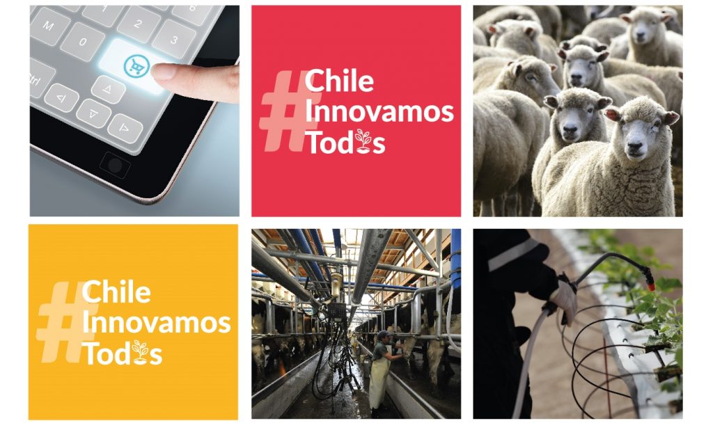 FIA abre nueva Convocatoria Nacional de Proyectos de Innovación en el Agro