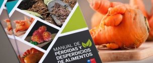 Lanzan “Manual de pérdidas y desperdicios de alimentos” para mejorar y optimizar consumo de frutas y verduras en Chile