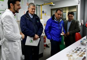 Proyecto desarrollará materias primas con alto potencial en O’Higgins y el Maule