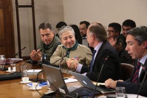 Inédito acuerdo entre Minagri y AFSAG: Comisión de Agricultura aprueba en general proyecto que fortalece al Servicio Agrícola y Ganadero