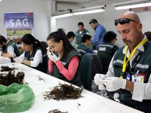 Columna: Globalización y sus consecuencias en la agricultura