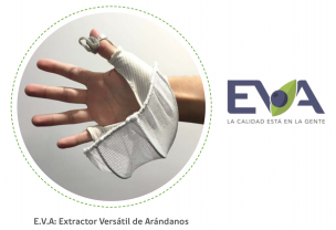 EVA, una solución a bajo costo para mejorar la cosecha de arándanos