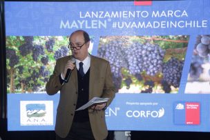 A.N.A Chile lanza nueva variedad de uva de mesa de exportación al mercado