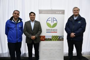 Nuevo proyecto desarrollará materias primas con alto potencial en O’Higgins y el Maule