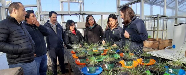 INIA trabaja para desarrollar fertilizante foliar usando nanotecnología