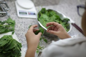 Es posible comer la hoja de la Quínoa