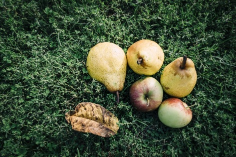 Buscan darle valor a compuestos que se encuentran en descartes frutícolas de la Región de O’Higgins