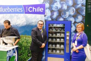 Global Berry Congress 2018, Rotterdam: Destacan ventajas, calidad y acciones de promoción del arándano chileno