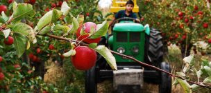 ASOEX presenta propuesta para abordar temas claves para el desarrollo y crecimiento de la fruticultura chilena