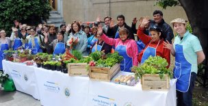 Feria “Punta Arenas Saludable” culminó ayer con masiva asistencia