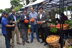 Con gran éxito se realizó el primer Mercado Campesino en los cerros de Valparaíso