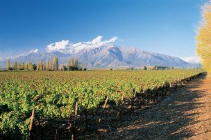 Comienza implementación del Inventario Nacional de Biodiversidad en la región de O’Higgins