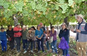 Temporada Agrícola: SEREMI de Salud refuerza prevención de cáncer a la piel y otras patologías