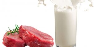 Productores de leche y carne nacional buscan potenciar sector con exportaciones a Emiratos Árabes