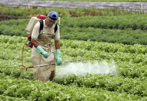 Agrotóxicos ¿Realmente creen que cualquier fauna silvestre sobrevive al bombardeo químico de agricultores año tras año?