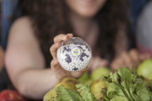 Estudiantes UC crean tecnología para duplicar vida útil de frutas y verduras refrigeradas