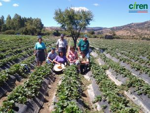 Región de O’Higgins: La primera de Chile en incorporar todas sus comunas al SIT Rural