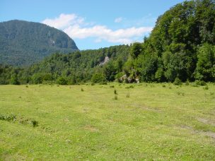 Licitación de predio en $21 mil millones en Vilcún pone a prueba la confianza de los agricultores de La Araucanía