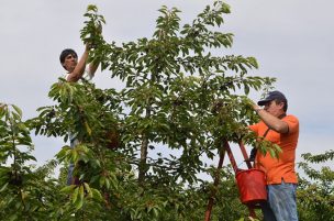 Cambio climático produce diversos efectos en economía de regiones