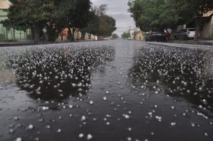 En Maule se mantienen altas expectativas sobre producción frutícola pese a granizada