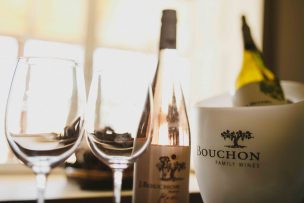 Bouchon inicia renovación de sus viñedos y destaca labor de promoción de Vinos de Chile