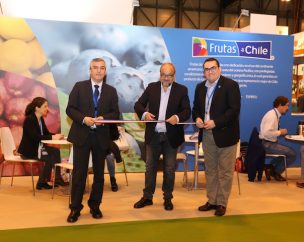 Con nuevo y remodelado stand fruta chilena se presenta en Fruit Attraction 2017