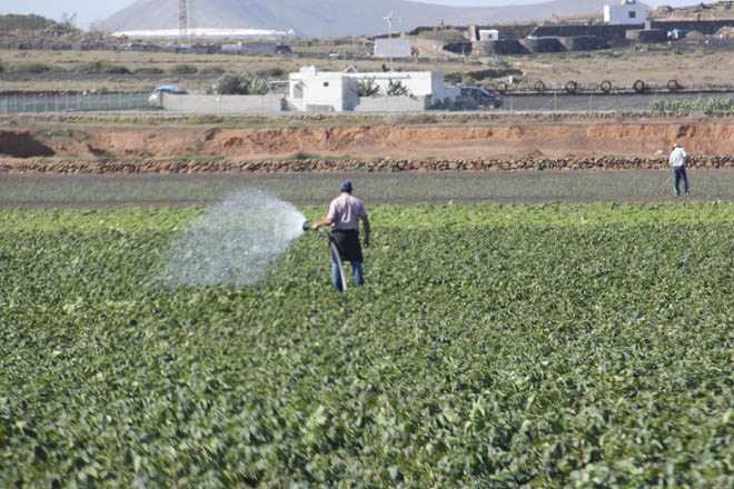 Regantes se mantienen en estado de alerta y convocan masivos encuentros