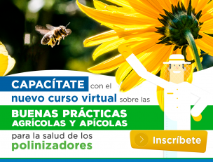 Nuevo curso virtual gratuito: Para aprender sobre el beneficio mutuo de la agricultura y apicultura