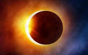 Investigador de INIA mide efecto del eclipse en árbol endémico de Chile