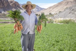 INDAP lanza programa Talentos Rurales: agricultores mateos se convertirán en asesores