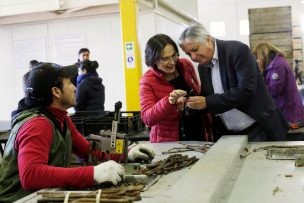 Ministro (s) Ternicier encabezó seminario sobre material vegetal vitivinícola