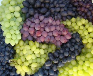 Crece demanda por nuevas variedades de vides de mesa y carozos en la industria frutícola de Chile