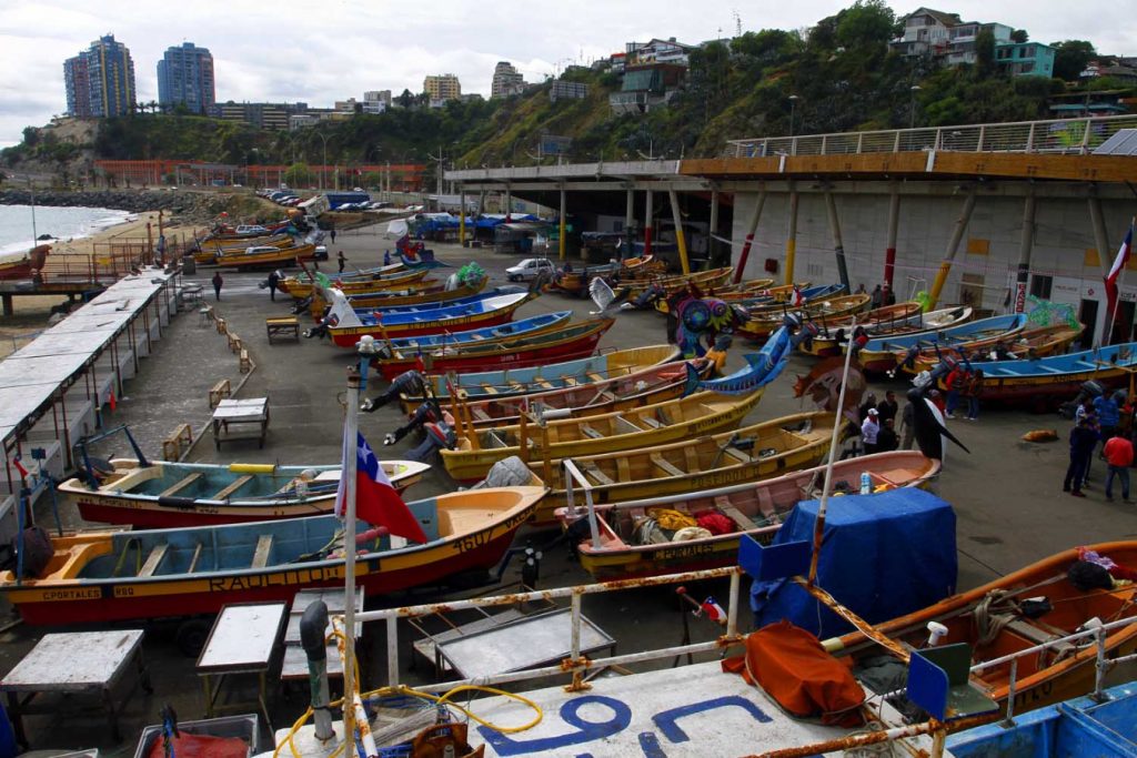 Nueva Ley de Caletas fortalece el rol productivo, económico y social de las más de 460 caletas existentes en el país