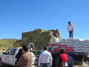 INIA entrega alimento para cabras a más de 100 crianceros de la Región de Coquimbo