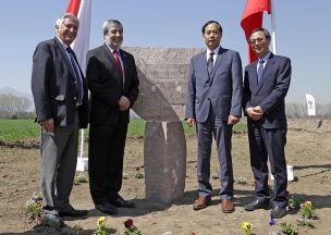 Instalan primera granja demostrativa de hortalizas chinas en Chile