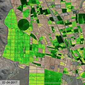 Nueva plataforma permite visualizar la dinámica del uso de suelos agrícolas de la Región de Coquimbo