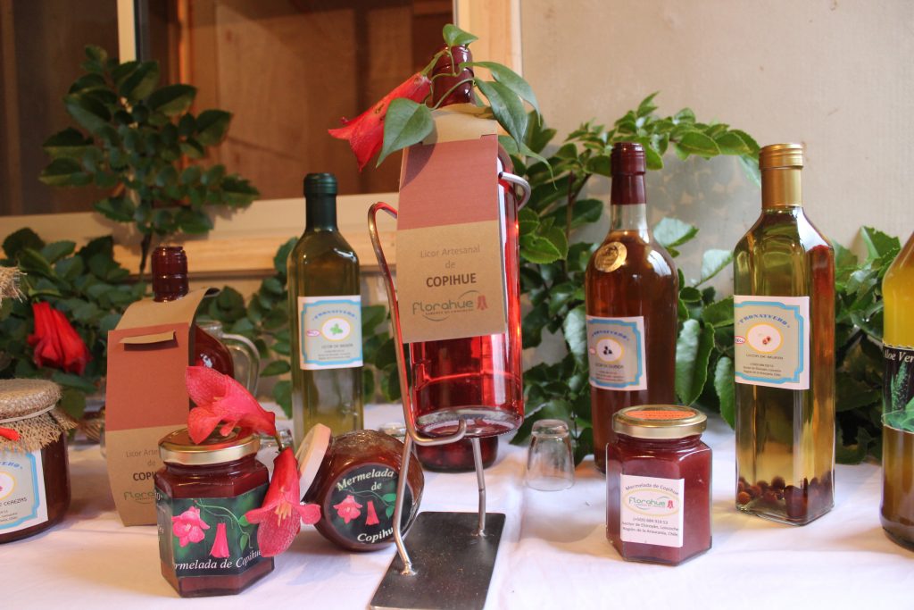La mermelada y el licor de copihue, los nuevos usos de la flor nacional